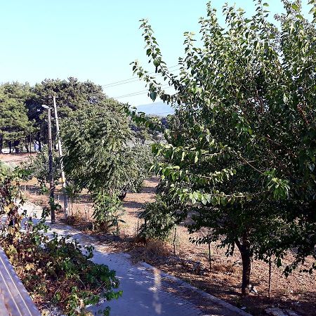 Can Efes Hotel Selçuk Luaran gambar